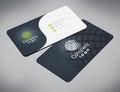 Business card back and front with generic info. 3D illustration Royalty Free Stock Photo