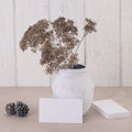 Business card mockup with a bouquet of dry flowers in a vintage vase and cones against a background of a white wooden wall Royalty Free Stock Photo