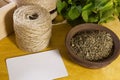 Business card and spice mint Royalty Free Stock Photo