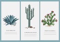 Business cards set with cactus, agave, and prickly pear plant.