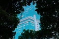 Business centre. Evening view through trees.