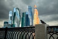 A pigeon and business centre the Moscow City on the background, Russia Royalty Free Stock Photo