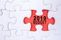 Business concept: 2019 BUDGET word on a jigsaw puzzle background