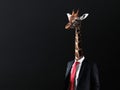 Businessman with head of Giraffe Royalty Free Stock Photo