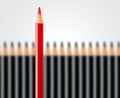 Business concept of disruption, leadership or think different; red pencil in row of black pencils standing out Royalty Free Stock Photo