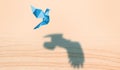 Business Concept of Dreams and Ambition. Vision and Real Power. Flying Paper Dove with realistic Eagle Shadow. Creative Idea of