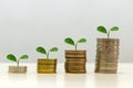 Business concept of financial growth and coin savings. Future investment planning and retirement. Trees stacked on coins