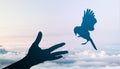 Business concept and Freedom of thought and liberation on Sky Background, Goals and freedoms, Hands, Birds silhouette, copy space