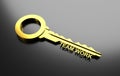 Business concept, Golden key with word Team work. 3D Illustration Royalty Free Stock Photo
