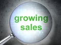 Business concept: Growing Sales with optical glass Royalty Free Stock Photo