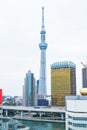 Business concept for real estate and corporate construction : modern cityscape building view of Tokyo Skytreesky tree, the land