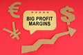 On the red surface there are money symbols, an arrow and a sign with the inscription - Big Profit Margins