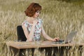 Business concept shot of a beautiful young woman sitting at a desk using a computer in a field. Royalty Free Stock Photo