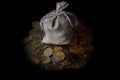 The business concept of time is a bag of Russian coins on a pile of coins on a dark background. close-up and soft focus.