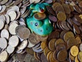 Business concept time money, frog to money accumulation for new. Russian coin. close-up and soft focus. Royalty Free Stock Photo