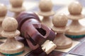 Business concept of win or defeat, loss Chessboard and figures of the king and pawns