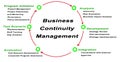 Business Continuity Management