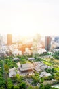 Panoramic modern city skyline bird eye aerial view with zojo-ji temple shrine in Tokyo, Japan Royalty Free Stock Photo