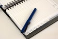 Business diary organiser with blue pen