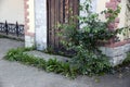 The organization`s front door, long closed and overgrown with trees and grass. Business collapse.