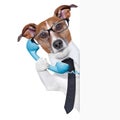 Business dog Royalty Free Stock Photo