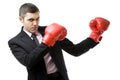 Business fighter Royalty Free Stock Photo