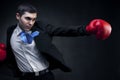 Business fighter Royalty Free Stock Photo