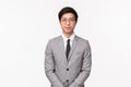 Business, finance and career concept. Portrait of professional handsome young asian man in grey suit and tie, look