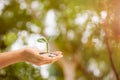 Business and finance concept. A man hand holding plant growing on stack of coins with green nature as background Royalty Free Stock Photo