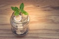 Business and Financial Concept : Green sprount tree growing through money coins in savings money glass jar. Royalty Free Stock Photo