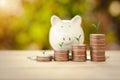 Business Financial and Saving Money concept.Money coin stack for growing with piggy bank,income growing in the future Royalty Free Stock Photo