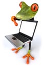 Business frog Royalty Free Stock Photo