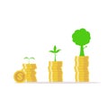 .Business growth concept.Investing money like tree grow.Growing money and trees.Plant Growing Savings Coins. Royalty Free Stock Photo