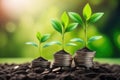 Business growth with a growing tree on a coin with blurred nature background.