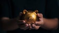 Business hand protecting and saving gold piggy bank, Stock funding or money saving. financial investment concept, Stack of the Royalty Free Stock Photo