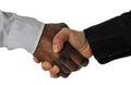 Business hand shake Royalty Free Stock Photo