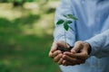 Business hands holding young plant on blur green nature background.World environment day. Global community teamwork.Volunteer