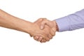 Business handshake Royalty Free Stock Photo