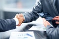Business handshake Royalty Free Stock Photo