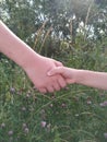 Business handshake against the background of nature. the day handshakes Royalty Free Stock Photo