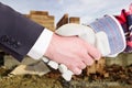 Business handshake in closeup