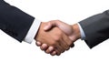 Business Handshake and Dynamic Business People on White Background. created with Generative AI