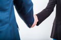 Business handshake when making a good profitable deal Royalty Free Stock Photo