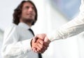 Business handshake and business people. Business concept. Royalty Free Stock Photo