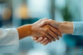 Business Handshake Sealing a Deal. Royalty Free Stock Photo