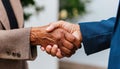 Business handshake of senior age businesspeople