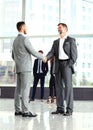 Business handshake Royalty Free Stock Photo