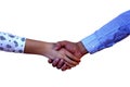 Business handshake on white background Royalty Free Stock Photo