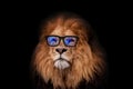 Business handsome lion hipster with new trendy glasses with blue lenses on a black background. Leader and management, creative