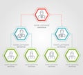 Business hierarchy hexagon chart infographics. Corporate organizational structure graphic elements. Company organization